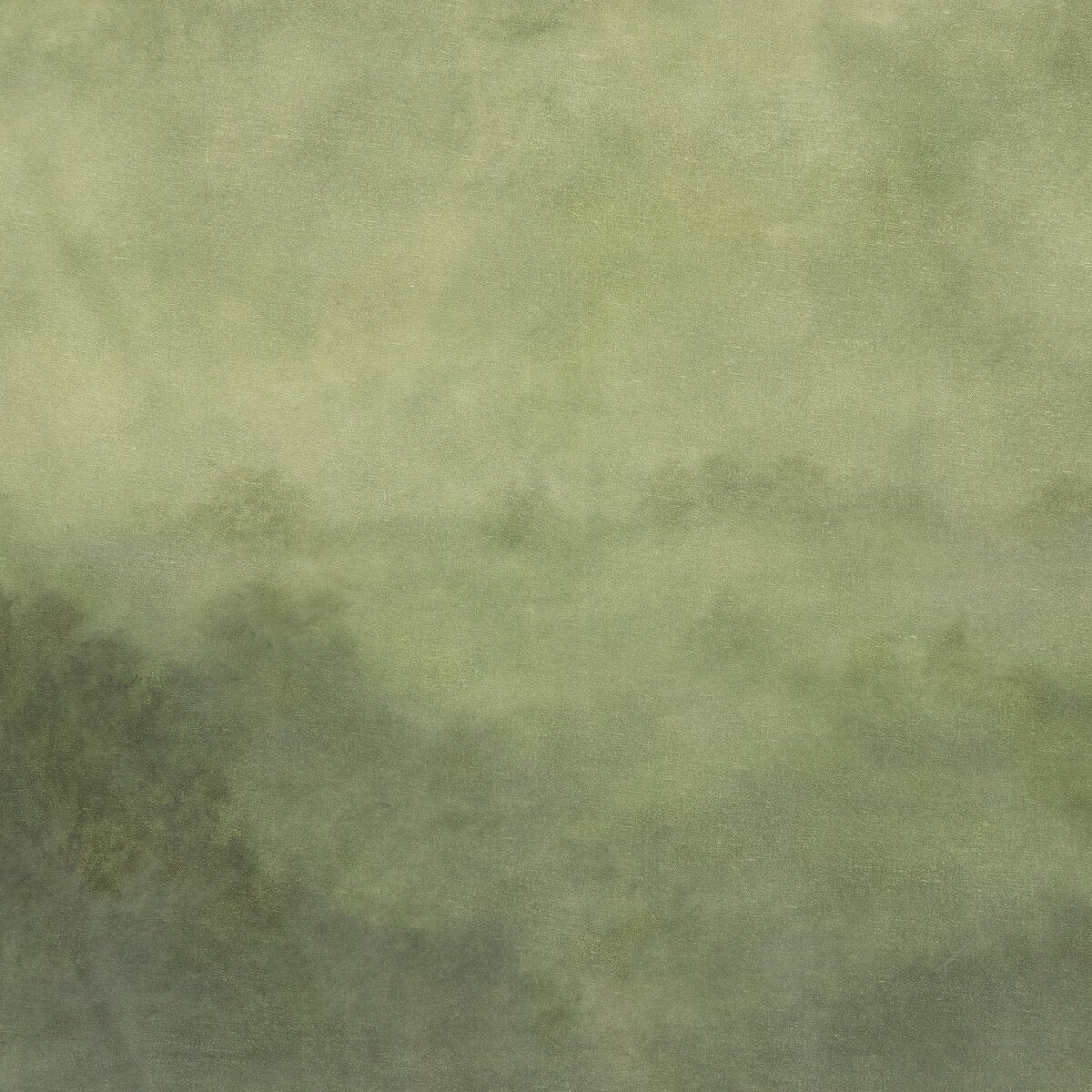Nebbia verde