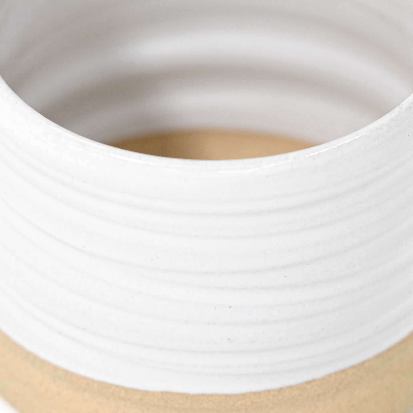 Vaso da giardino con tronco