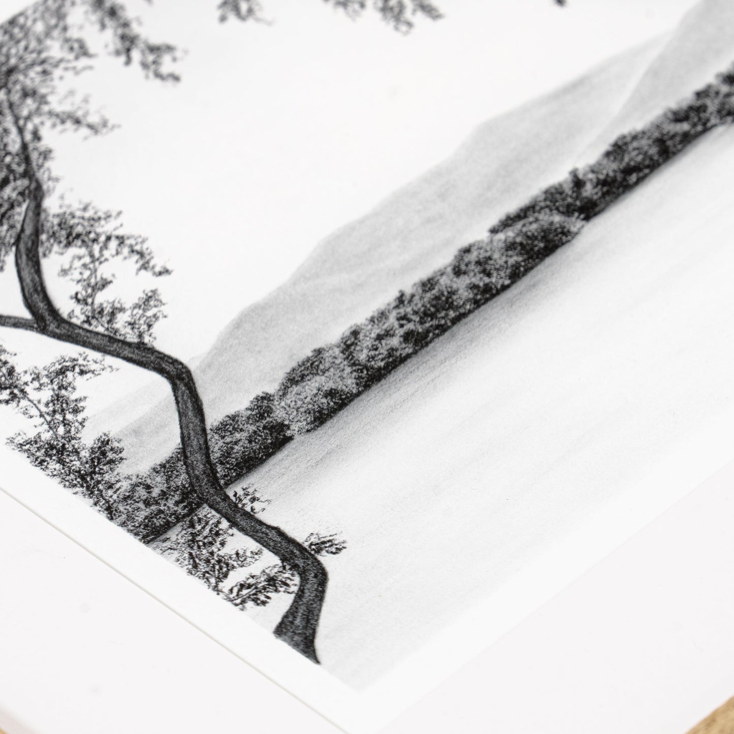 Amist II di Tenaya Wickstrand, 13 x 15, cornice in rovere bianco