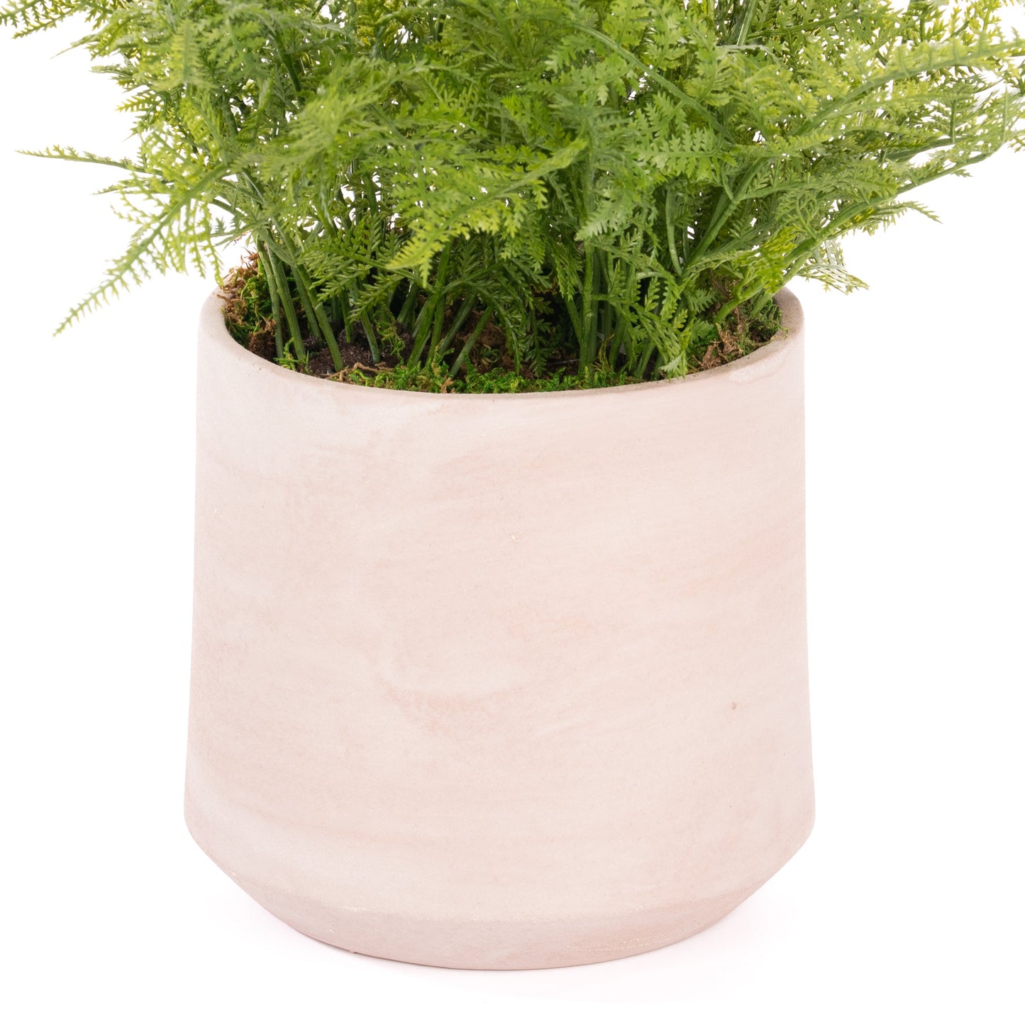 Lorenzo Pot