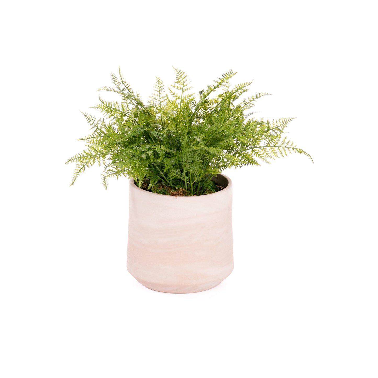 Lorenzo Pot
