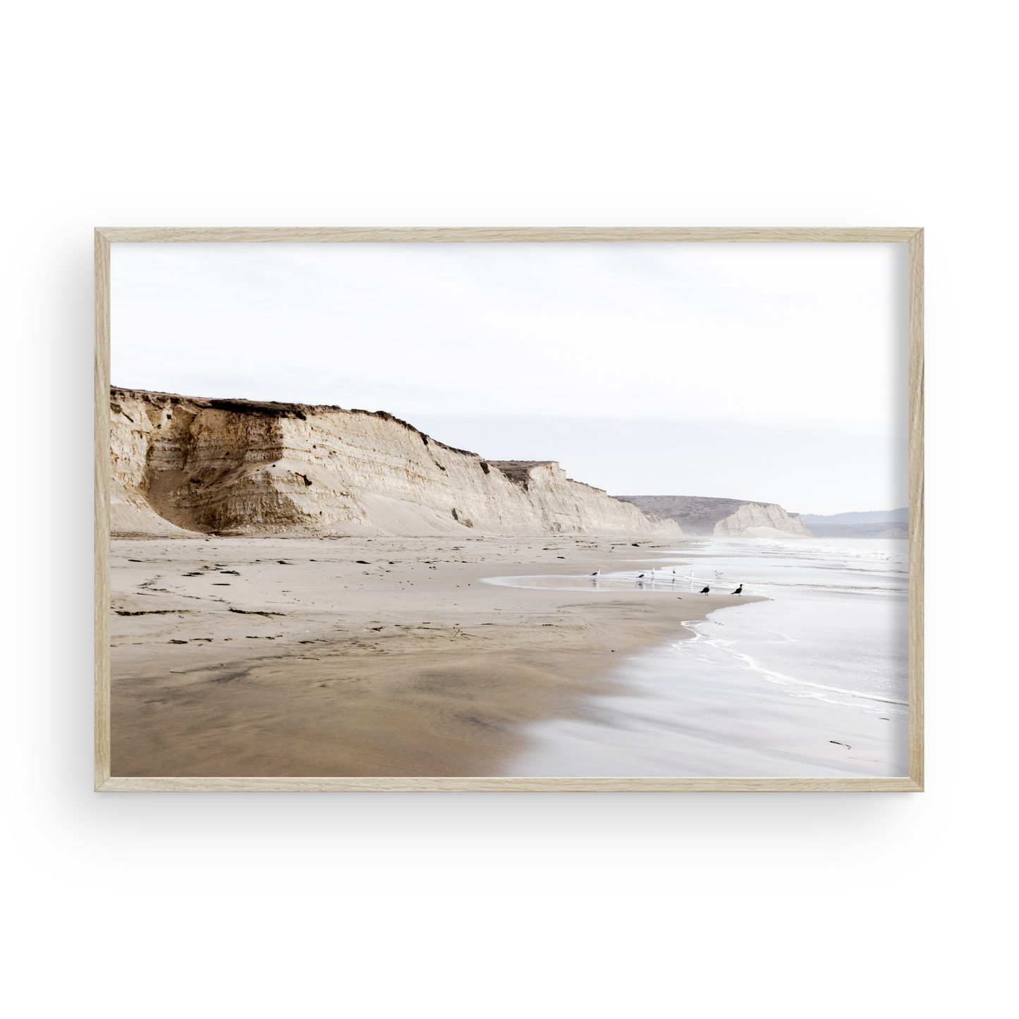 Drakes Bay di Caroline Pacula
