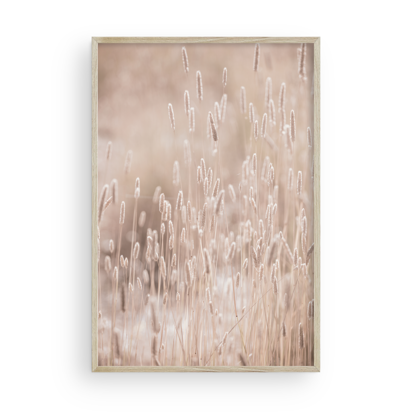 Golden Meadow di Carly Tabak