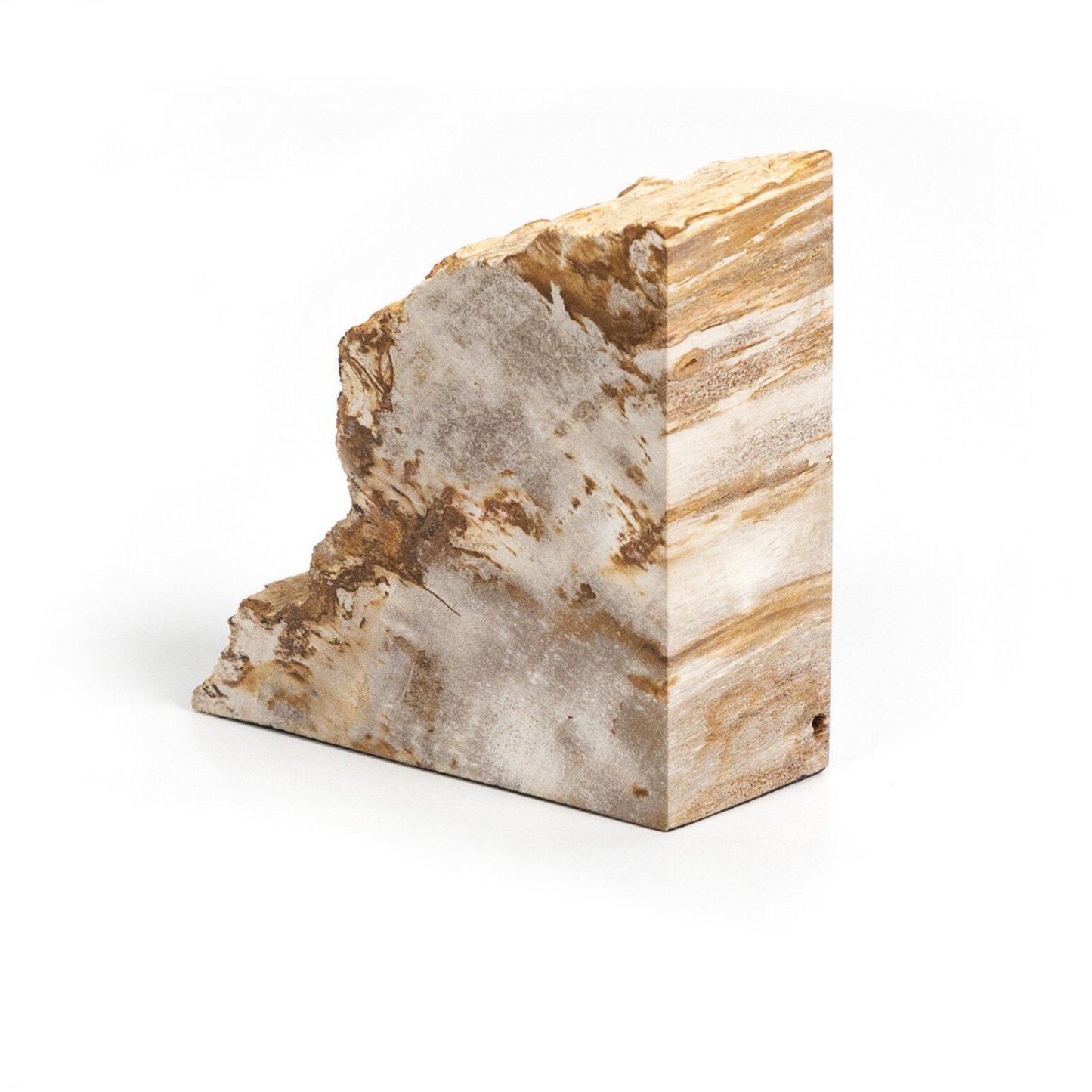 Fermalibri in legno pietrificato Zana