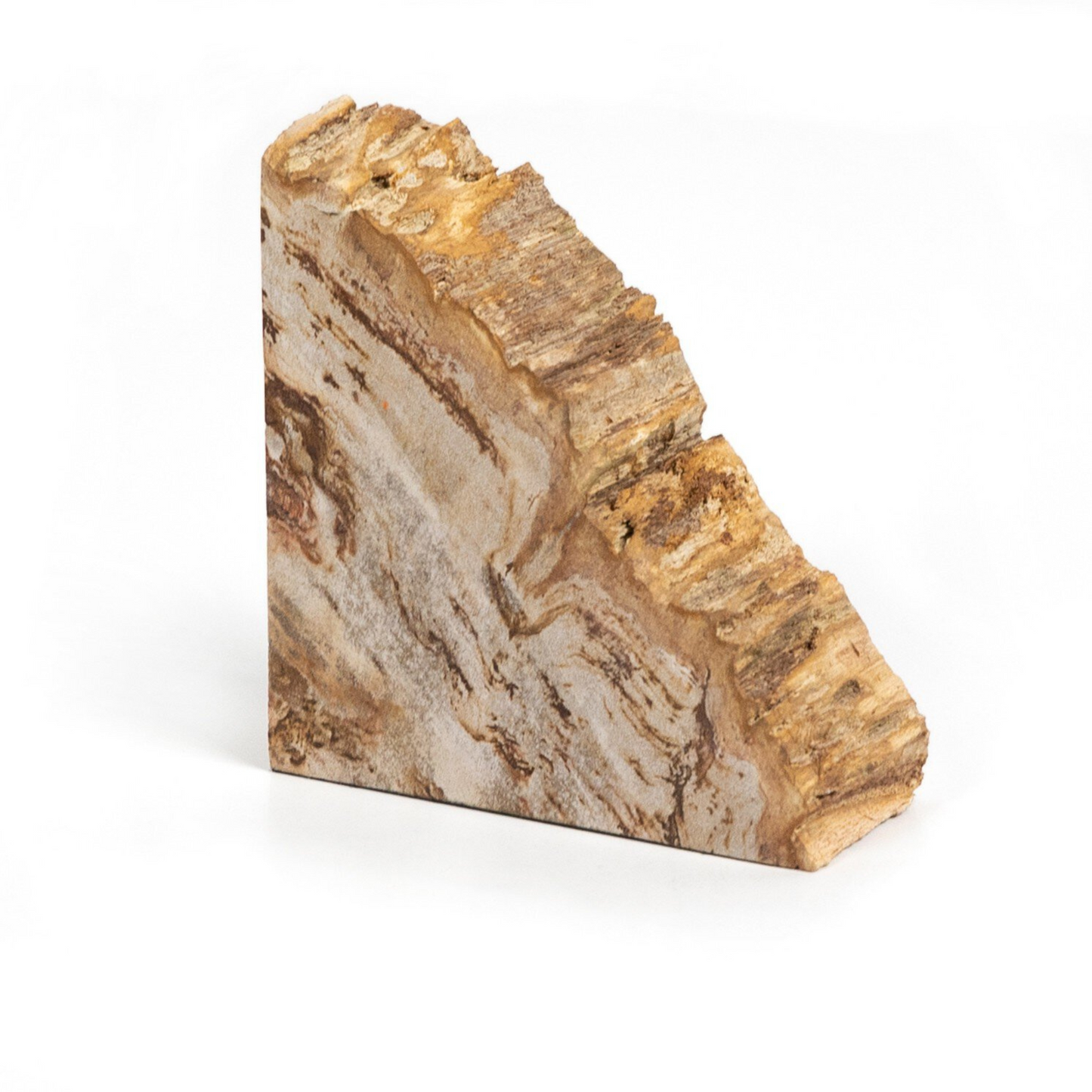 Fermalibri in legno pietrificato Zana
