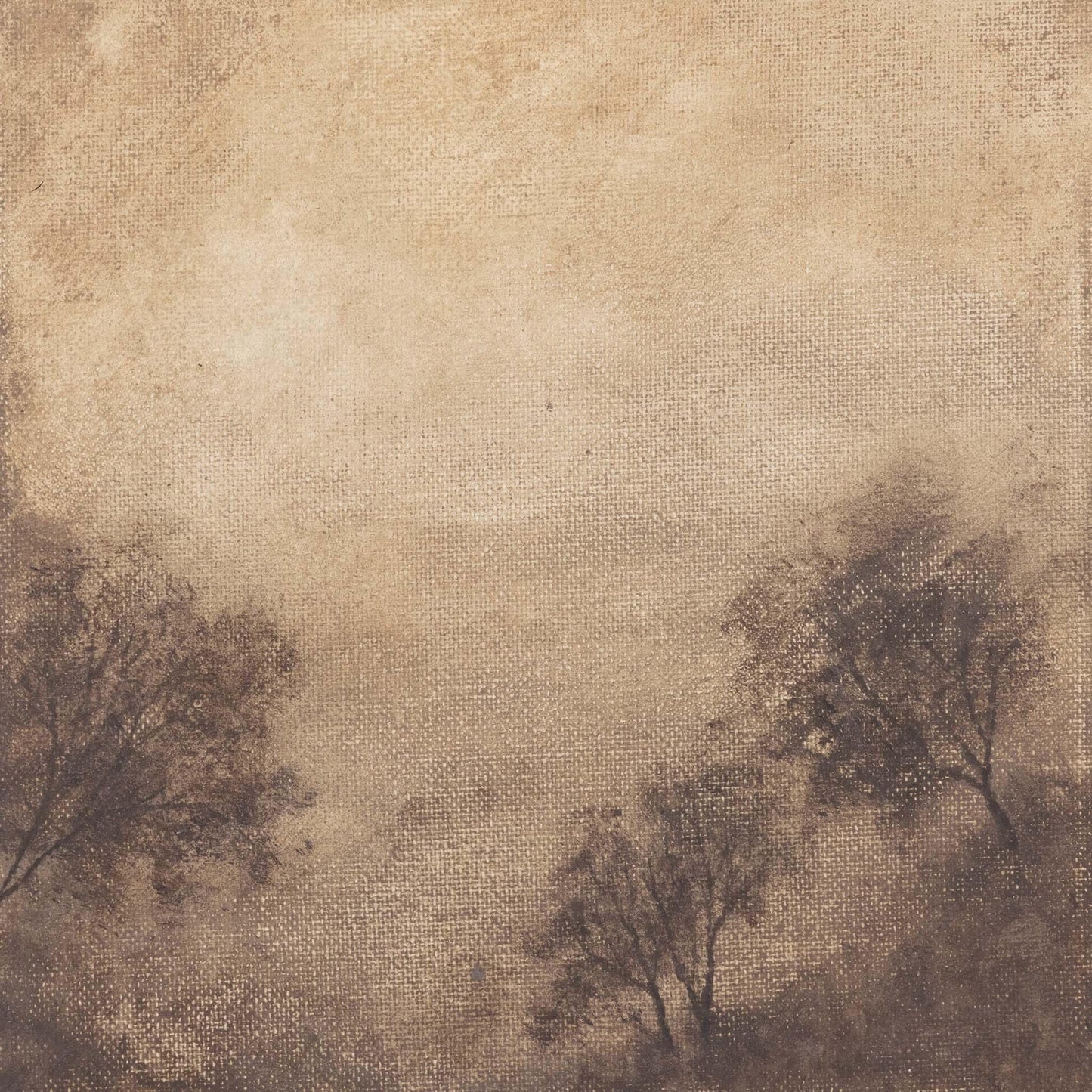 Alberi sfocati neutri I