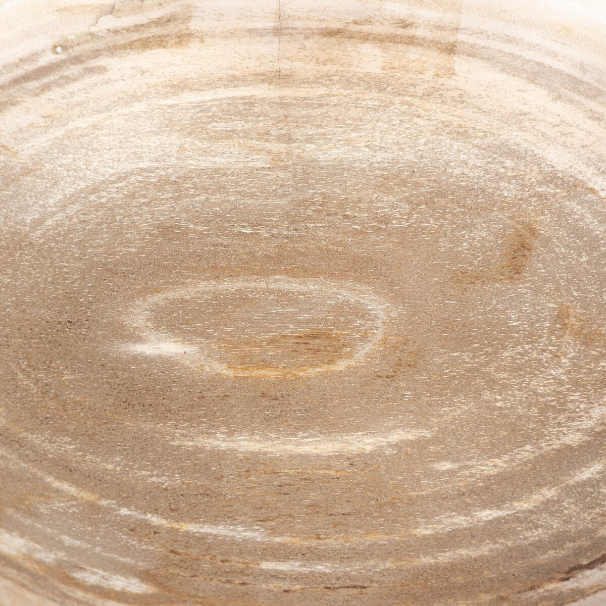 Ciotola di legno pietrificato di Leda