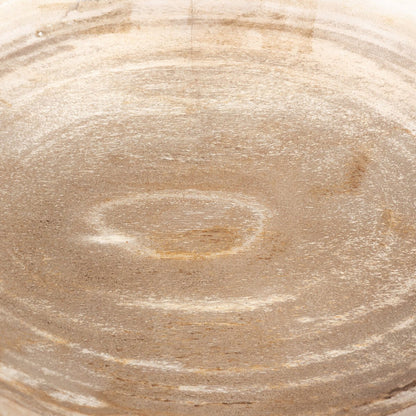 Ciotola di legno pietrificato di Leda