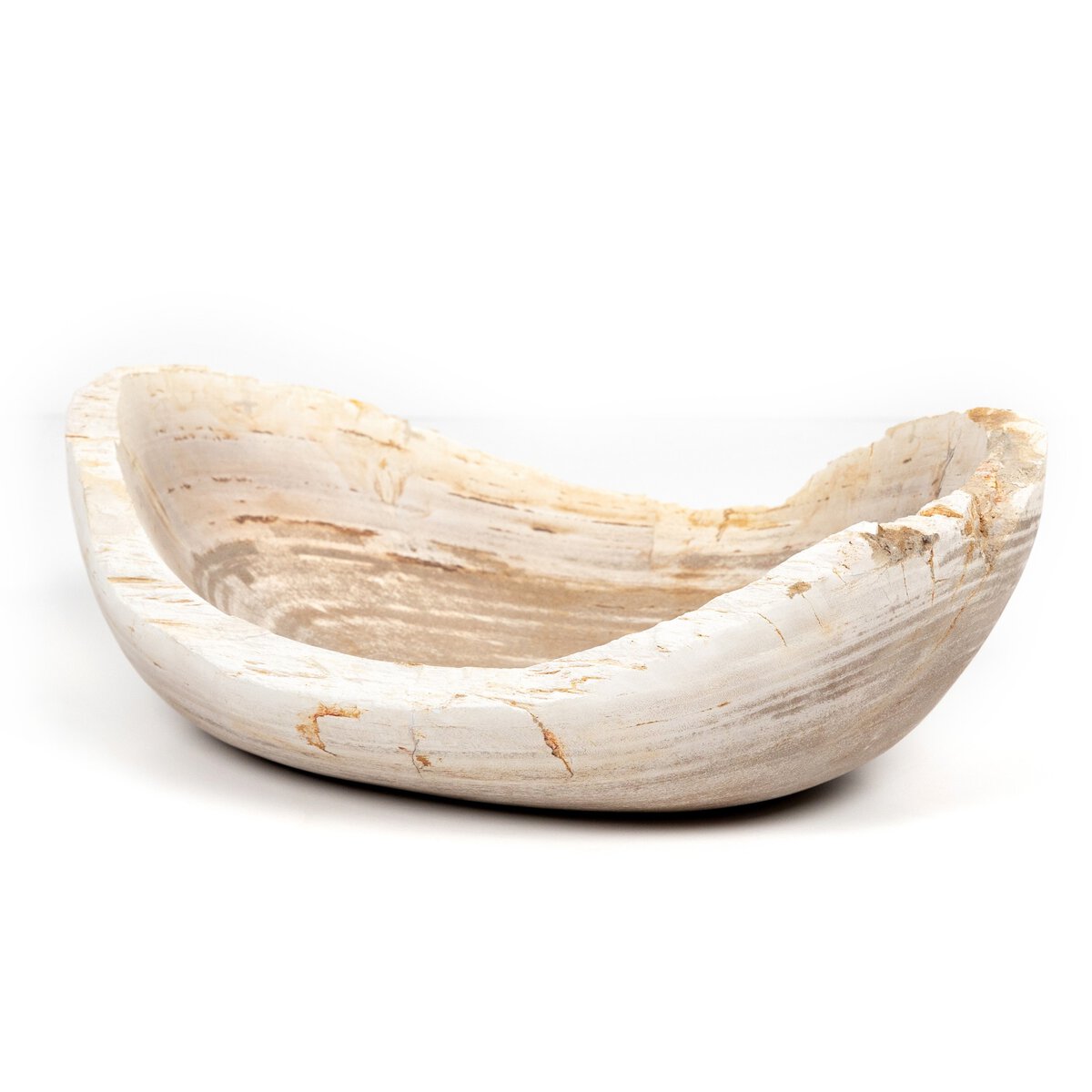 Ciotola di legno pietrificato di Leda