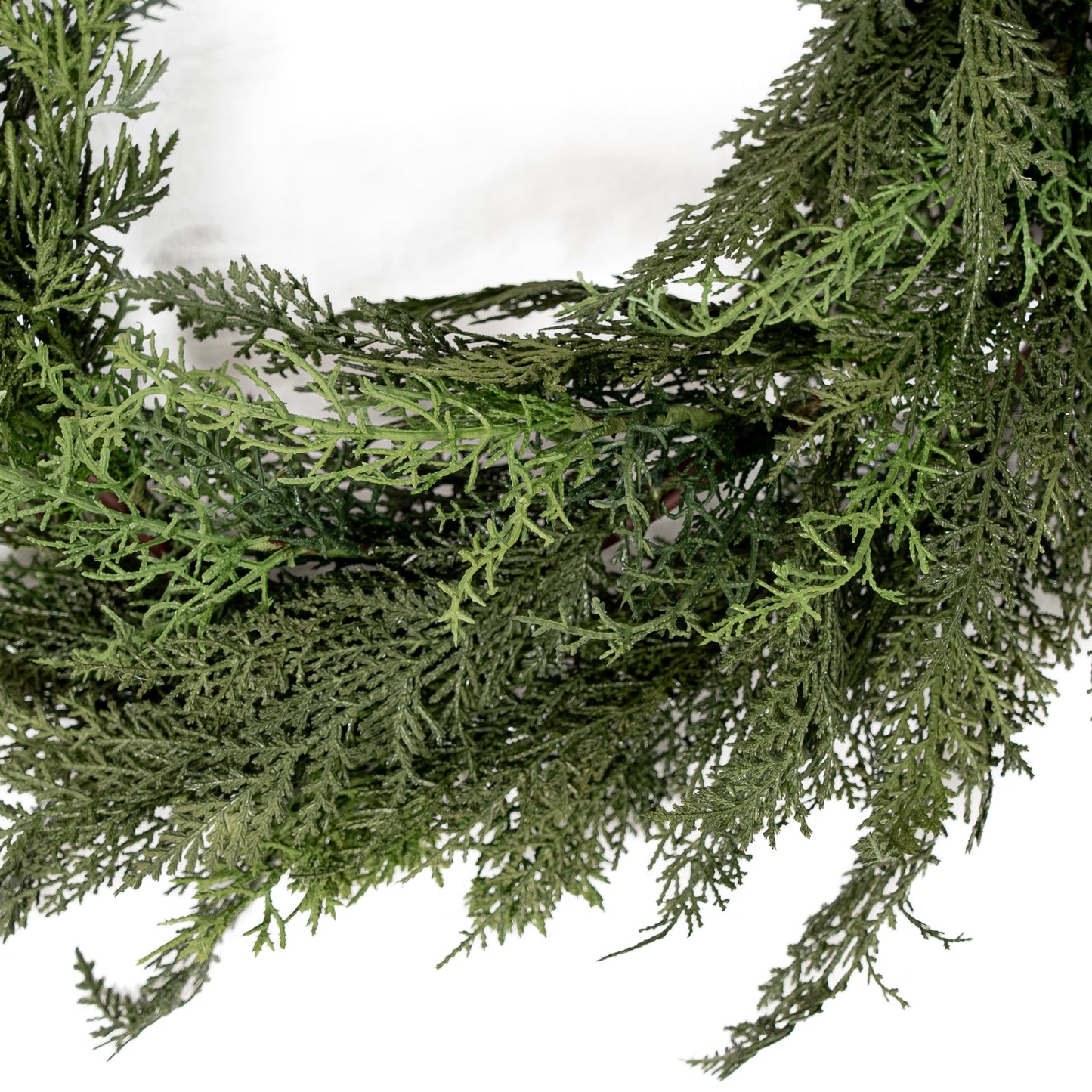 Ghirlanda di cedro