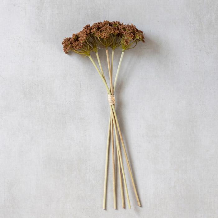 Stelo di Achillea