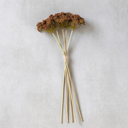 Stelo di Achillea