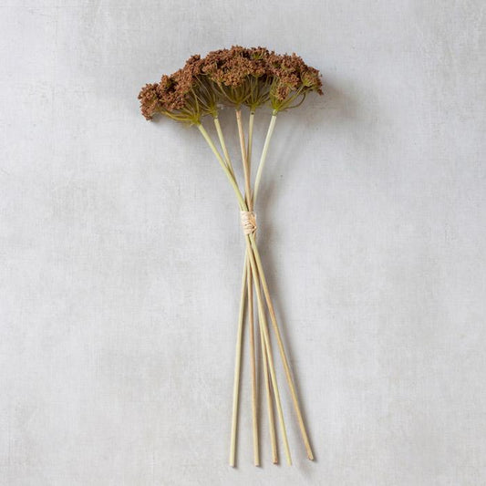 Stelo di Achillea