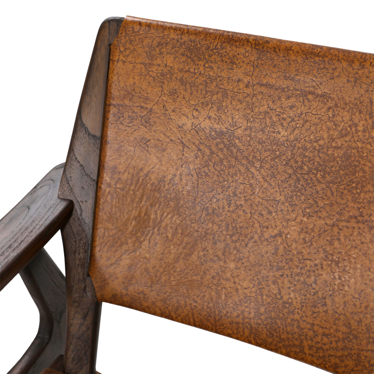 Sedia Cortland