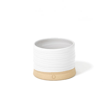 Vaso da giardino con tronco