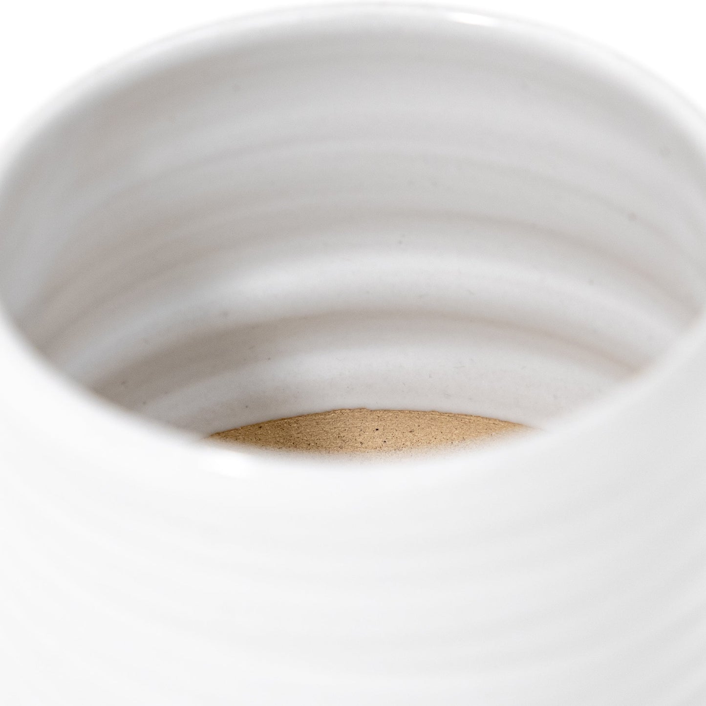 Vaso da giardino con tronco