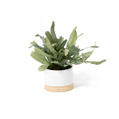 Vaso da giardino con tronco