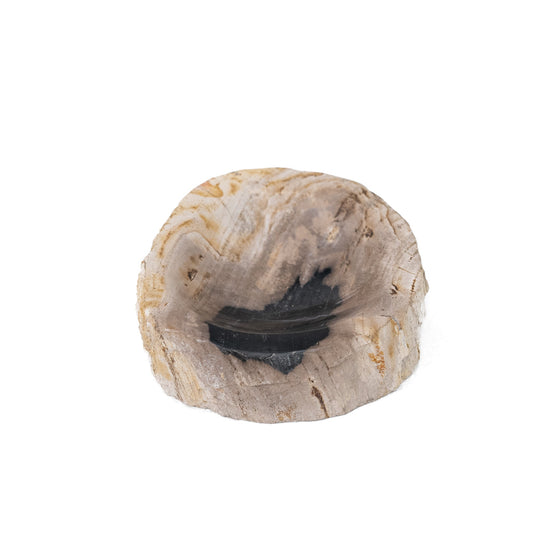 Portasapone in legno pietrificato Jed