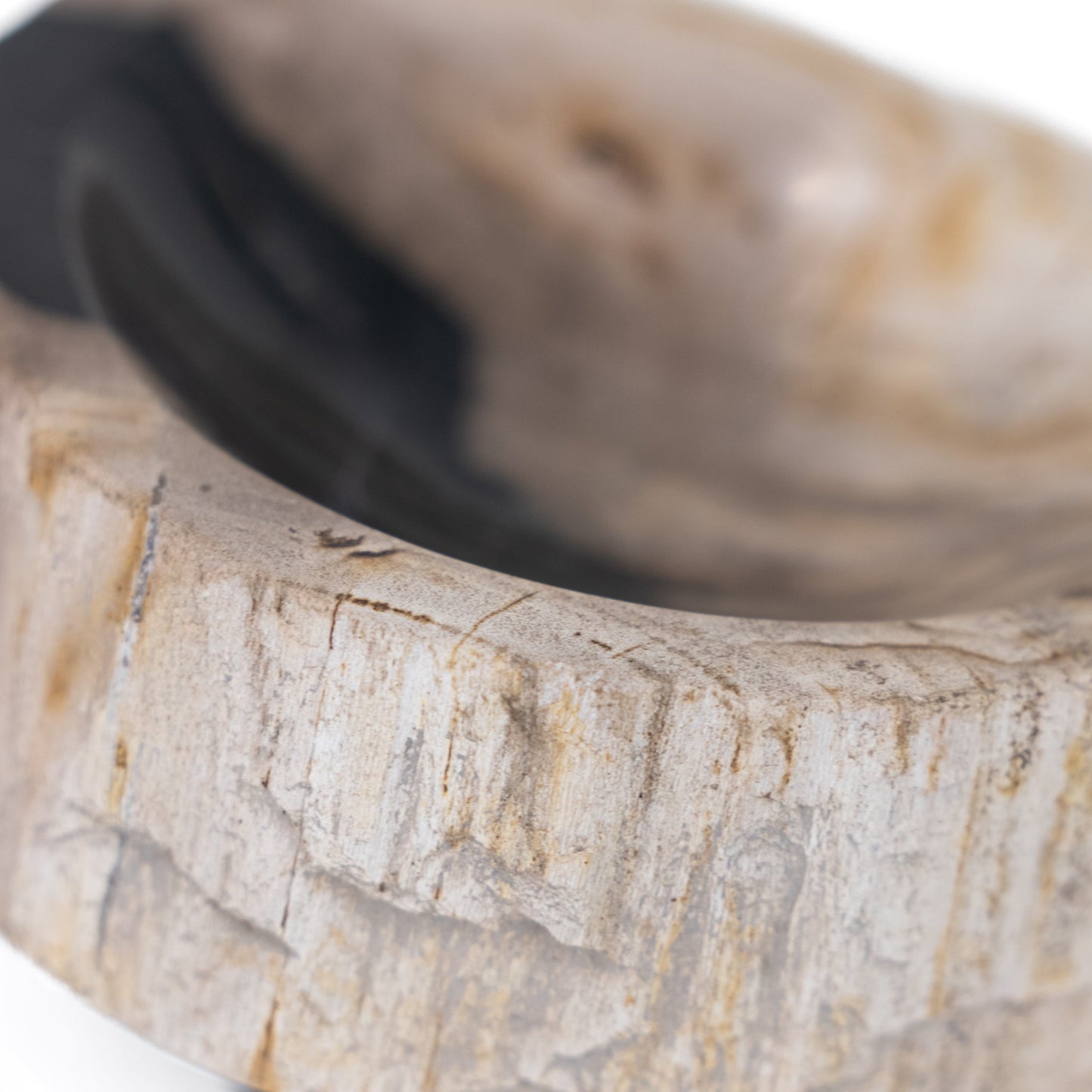 Portasapone in legno pietrificato Jed