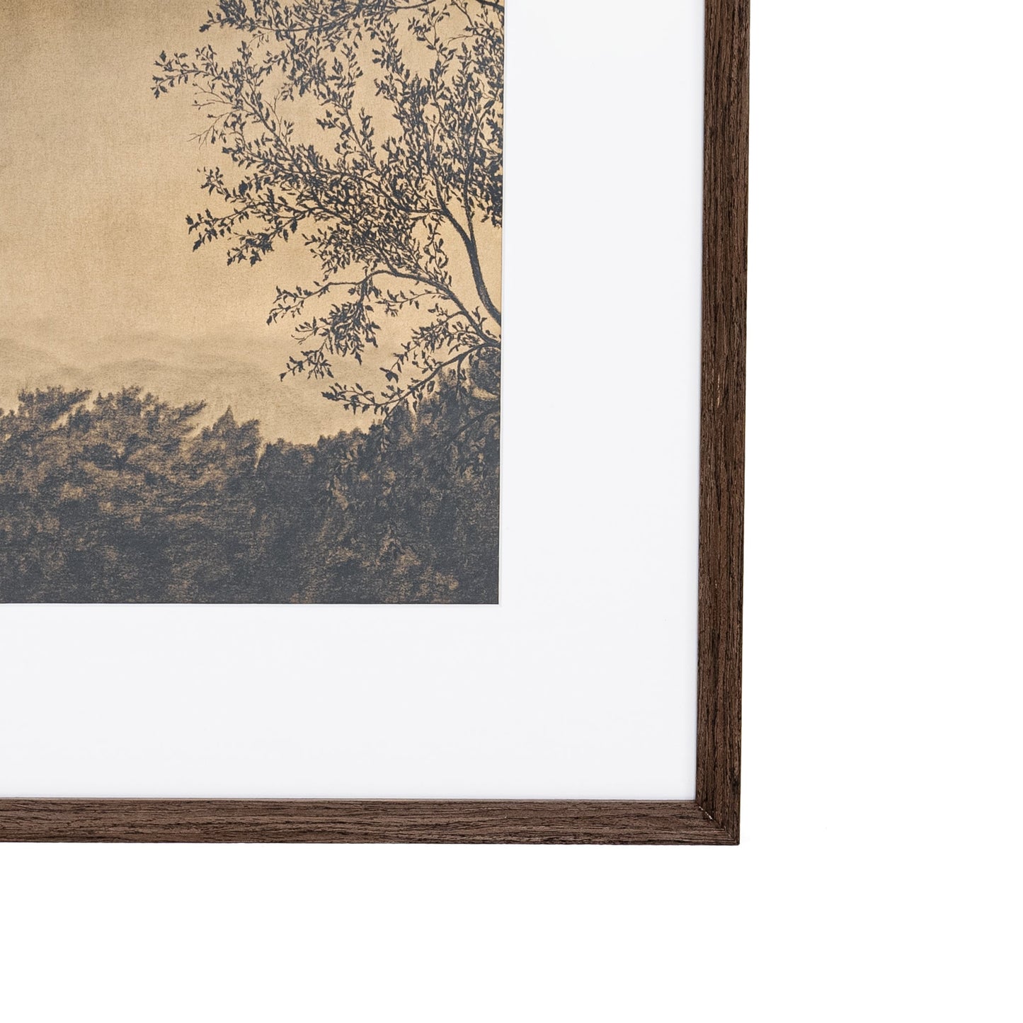 Attraverso gli alberi V di Tenaya Wickstrand, 19 x 23, cornice Espresso