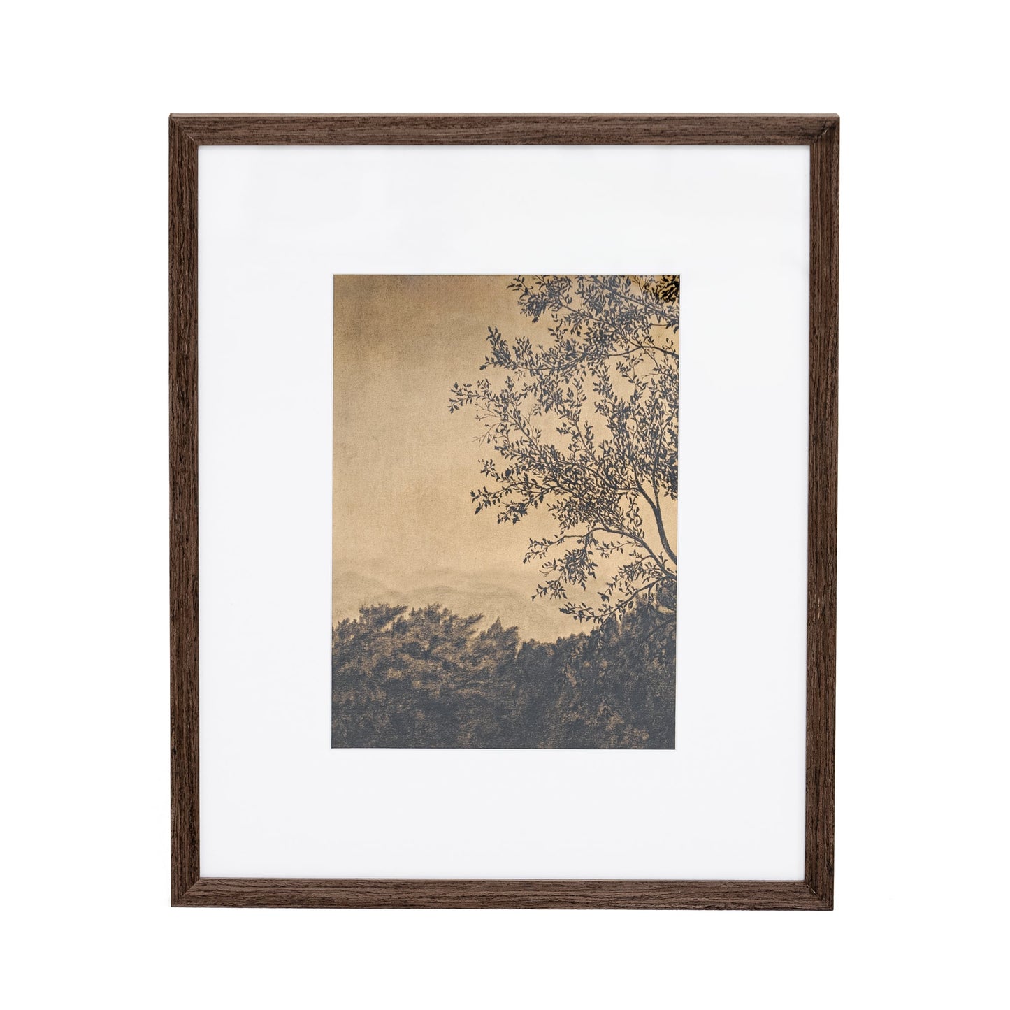 Attraverso gli alberi V di Tenaya Wickstrand, 19 x 23, cornice Espresso