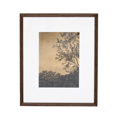 Attraverso gli alberi V di Tenaya Wickstrand, 19 x 23, cornice Espresso