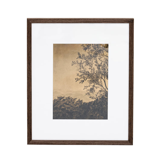 Attraverso gli alberi V di Tenaya Wickstrand, 19 x 23, cornice Espresso