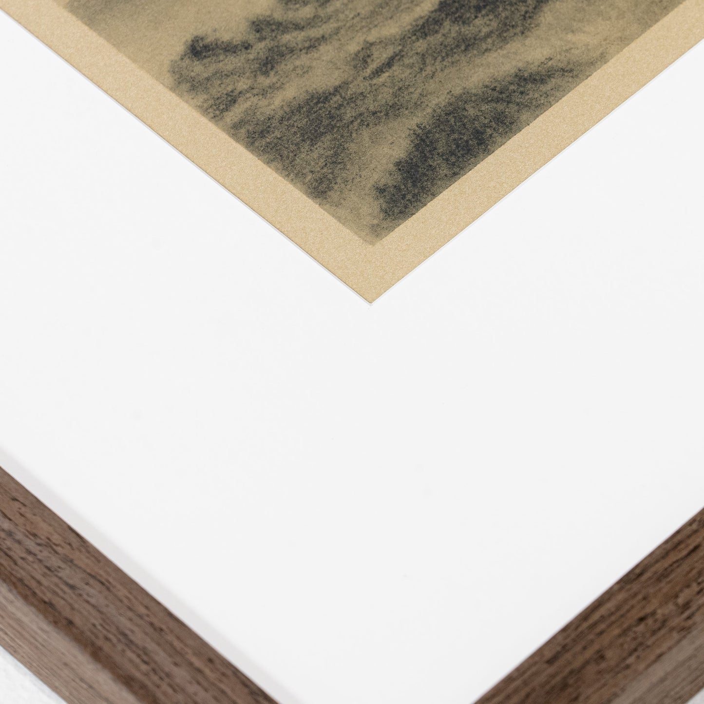 Attraverso gli alberi IV di Tenaya Wickstrand, 19 x 19, cornice Espresso