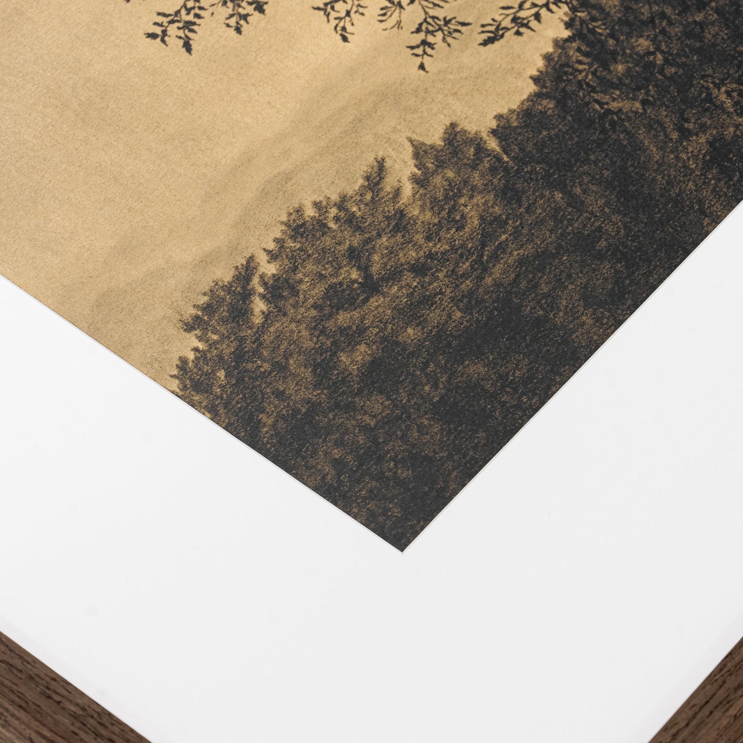 Attraverso gli alberi V di Tenaya Wickstrand, 19 x 23, cornice Espresso