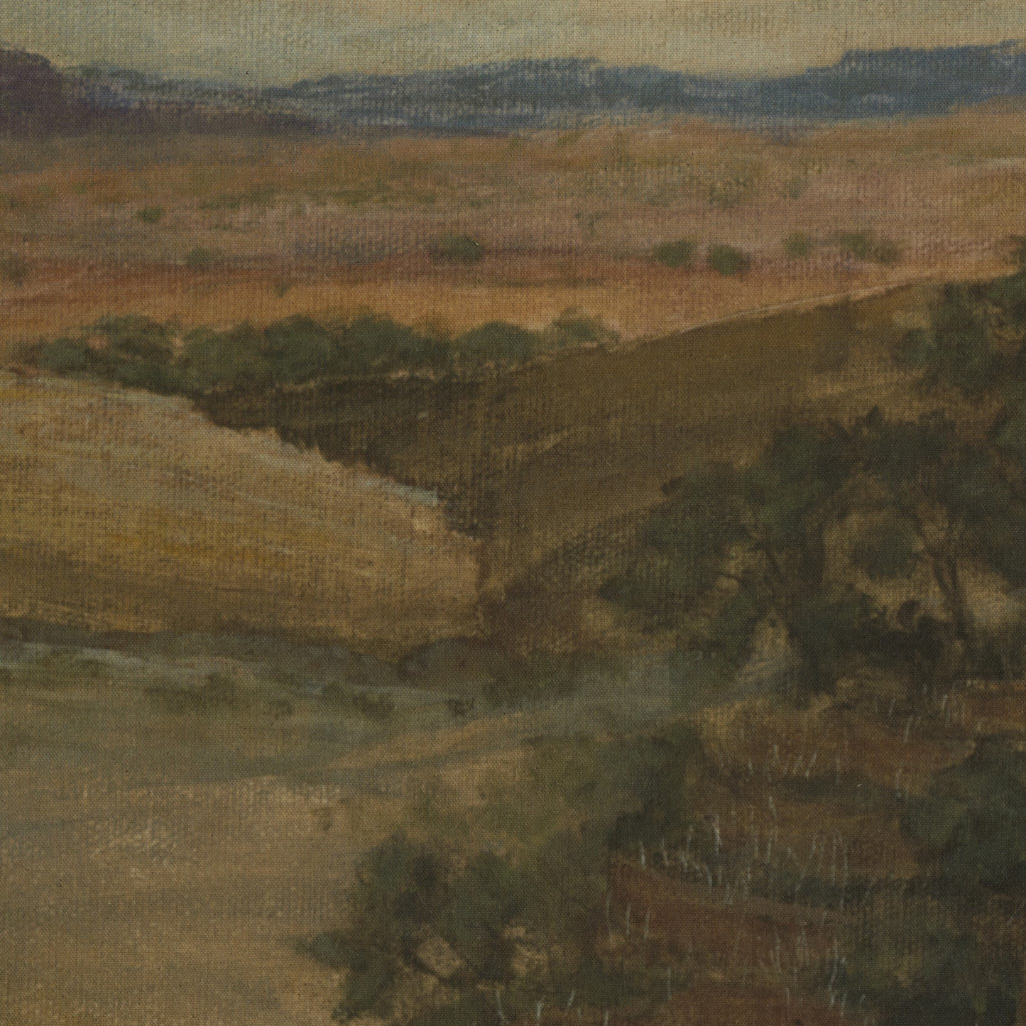 Desert Hues II di Aileen Fitzgerald
