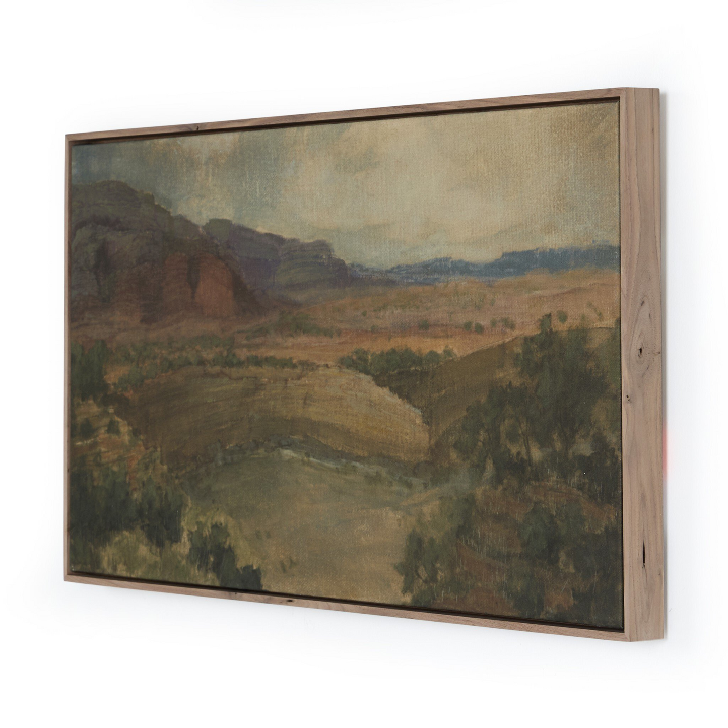 Desert Hues II di Aileen Fitzgerald