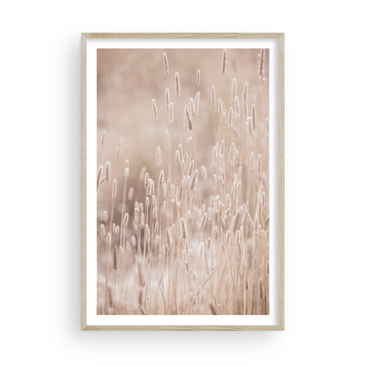 Golden Meadow di Carly Tabak