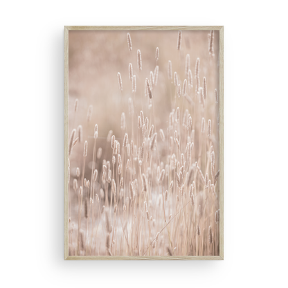 Golden Meadow di Carly Tabak