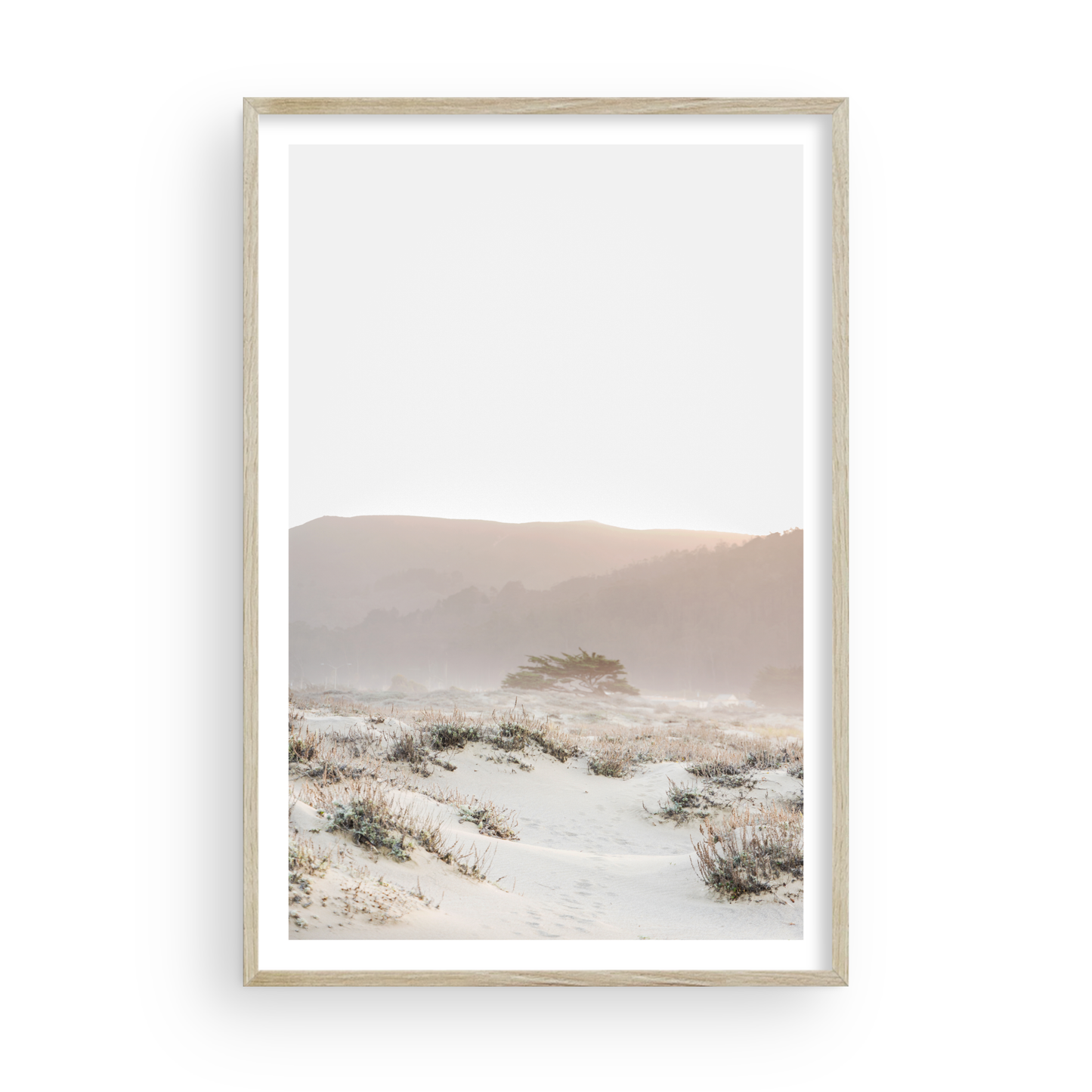 Ocean Mist di Caroline Pacula