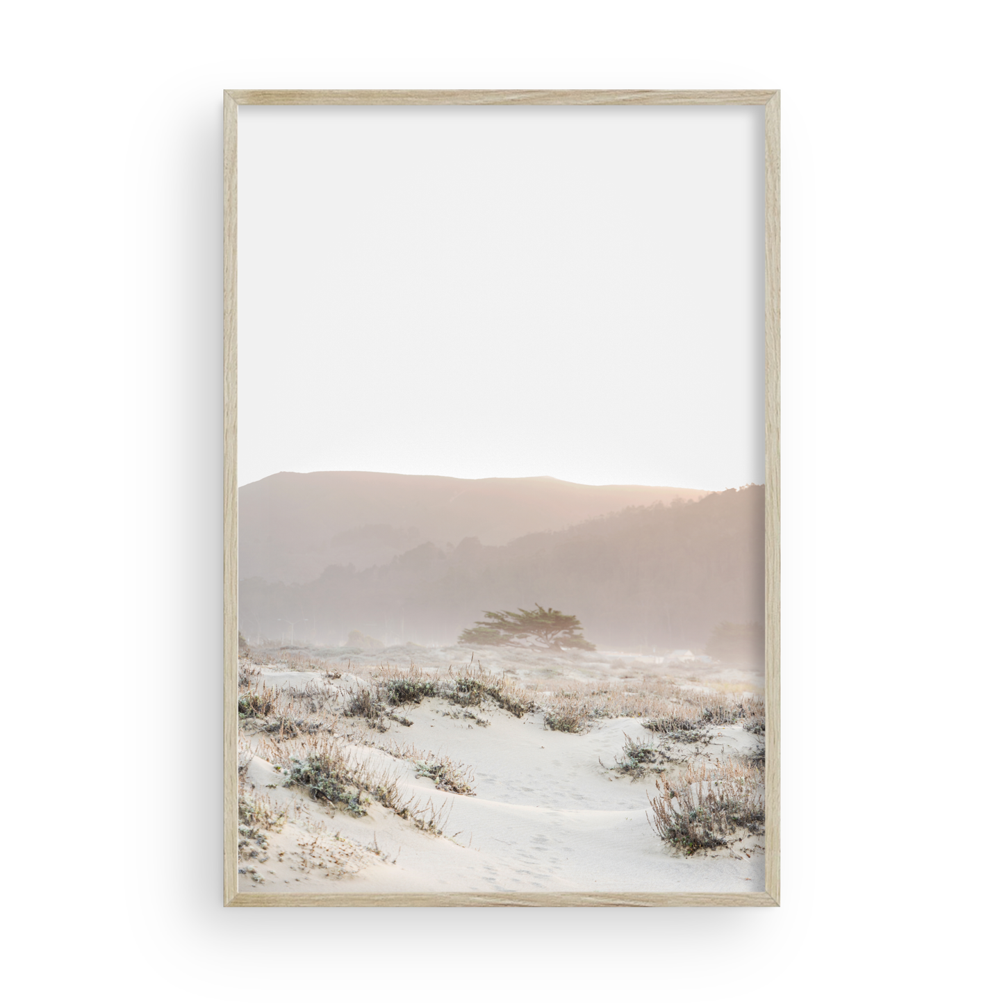 Ocean Mist di Caroline Pacula