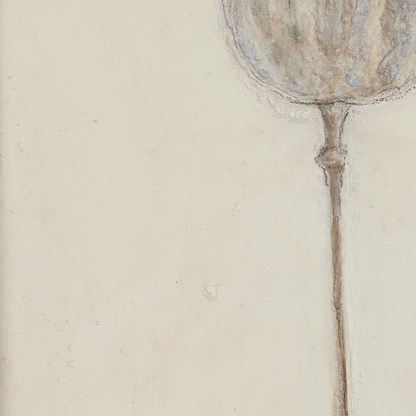 Poppy Crema di Paul Meyer