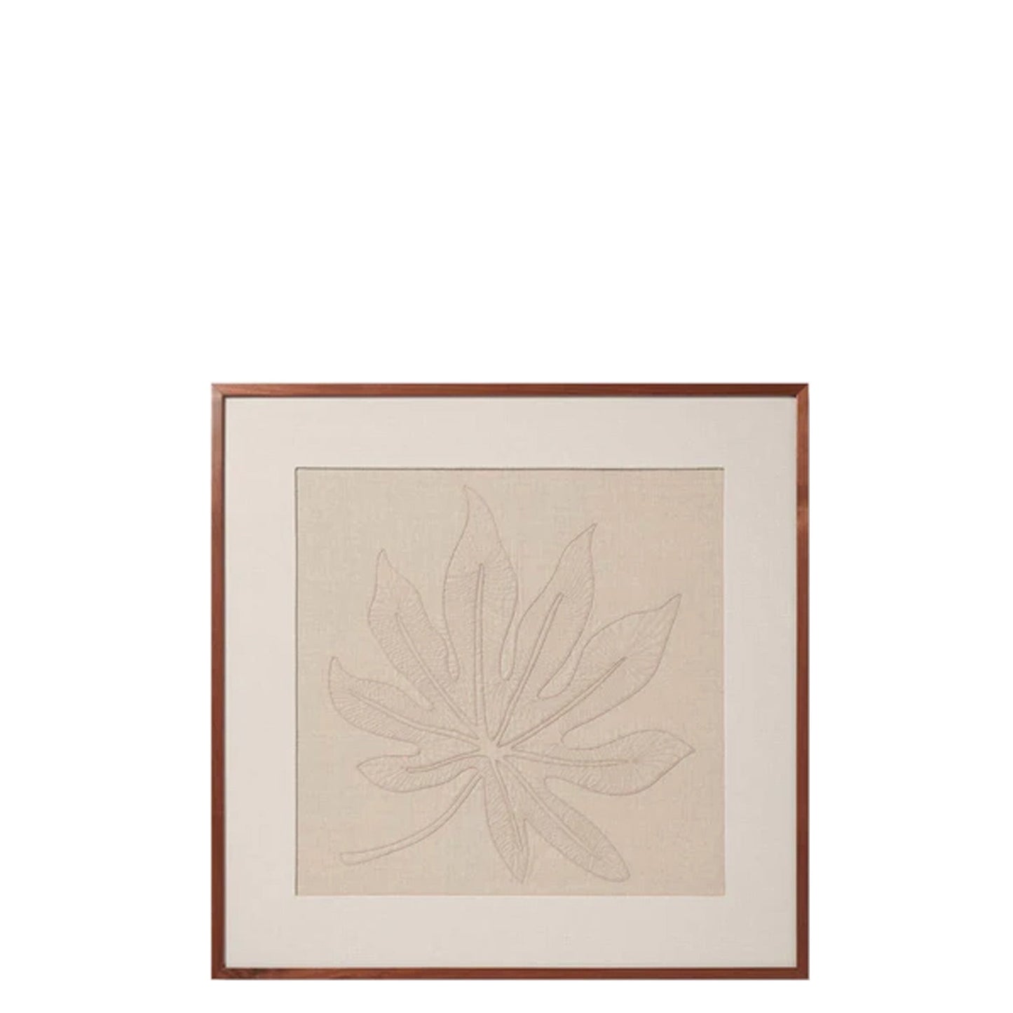 Schefflera