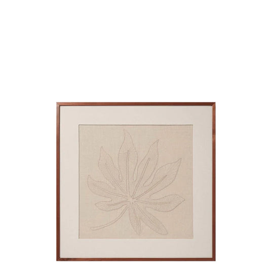 Schefflera