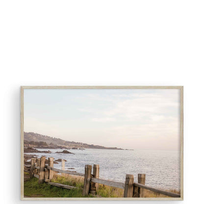 Sea Ranch Lookout di Carly Tabak