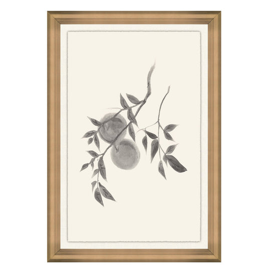 Frutta estiva I