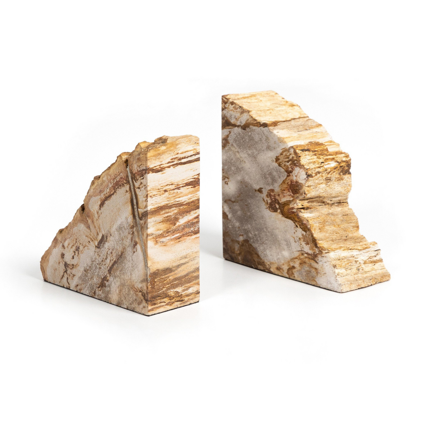 Fermalibri in legno pietrificato Zana