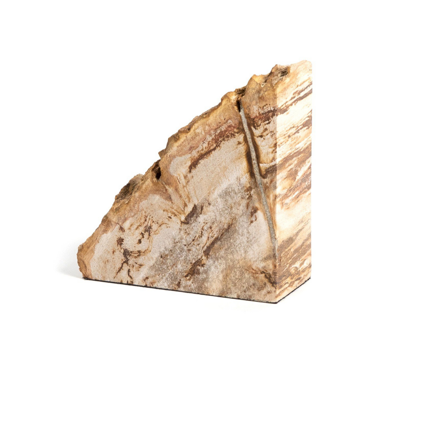 Fermalibri in legno pietrificato Zana