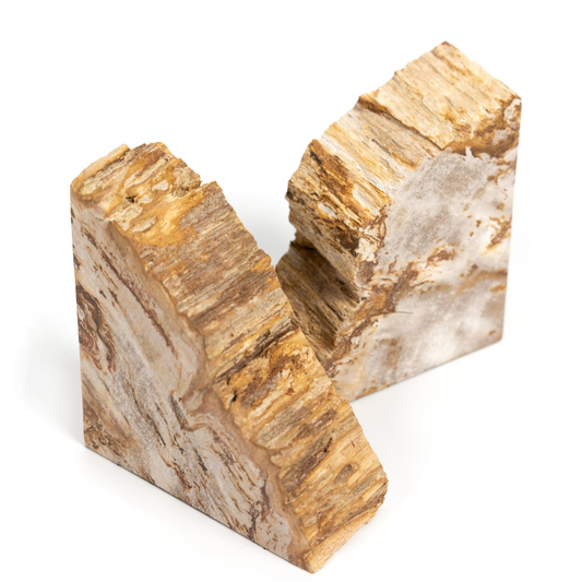 Fermalibri in legno pietrificato Zana