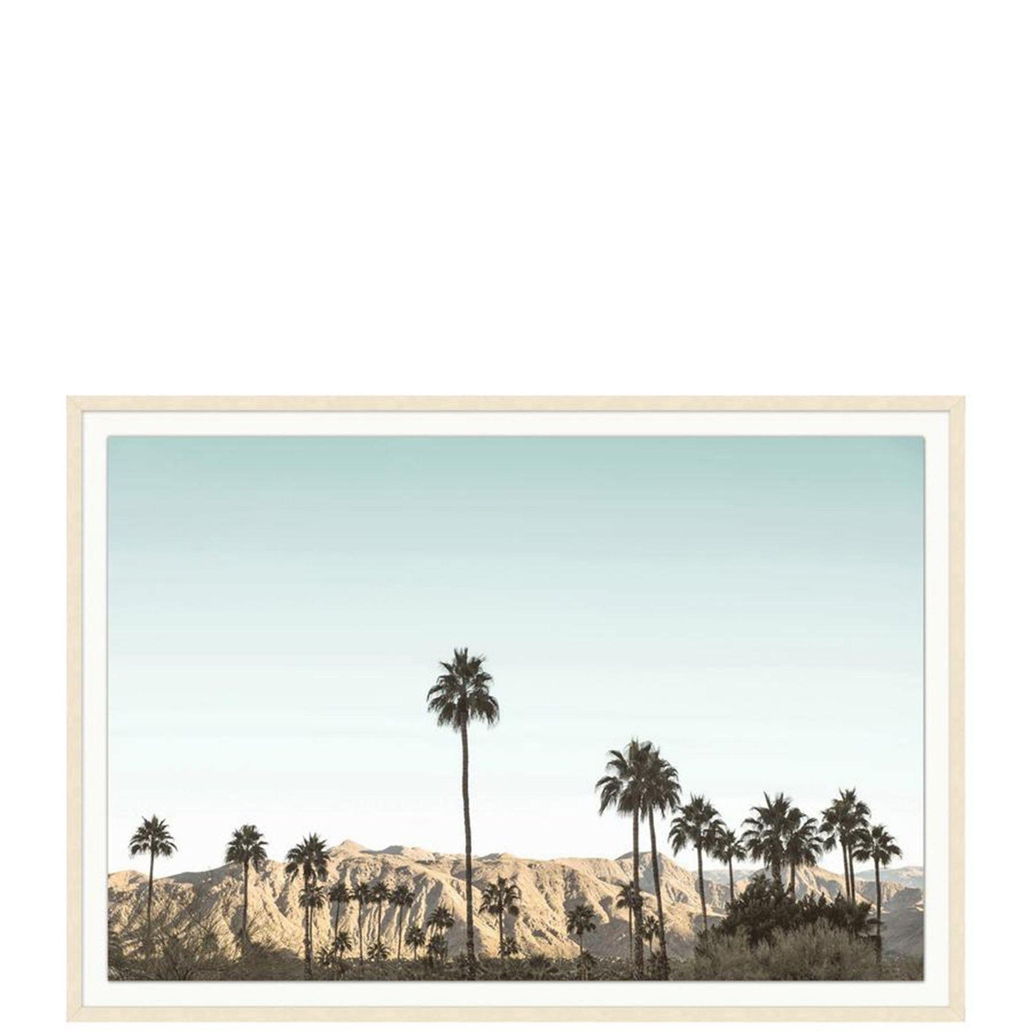 Una giornata a Palm Springs