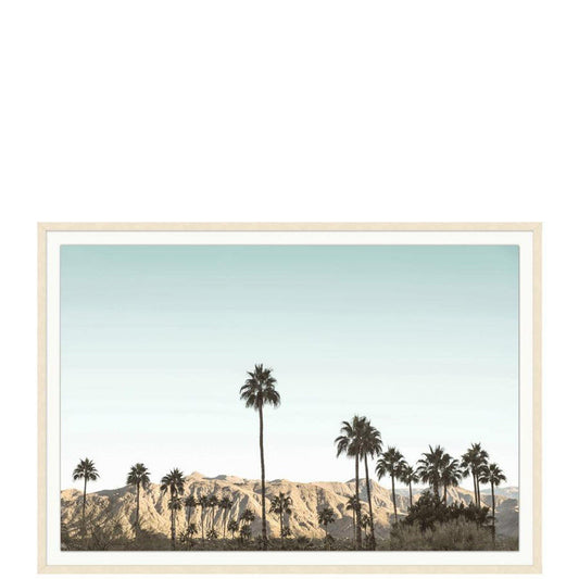 Una giornata a Palm Springs