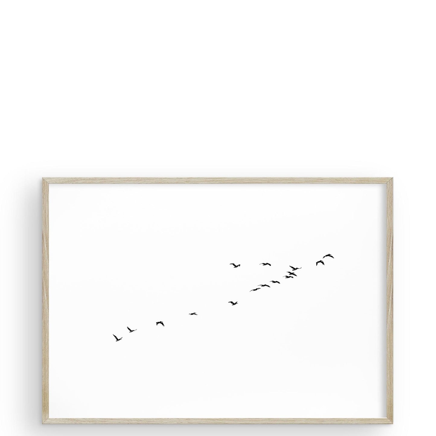 Birds of a Feather San Francisco di Carly Tabak