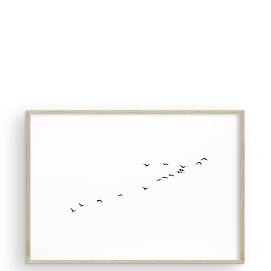 Birds of a Feather San Francisco di Carly Tabak