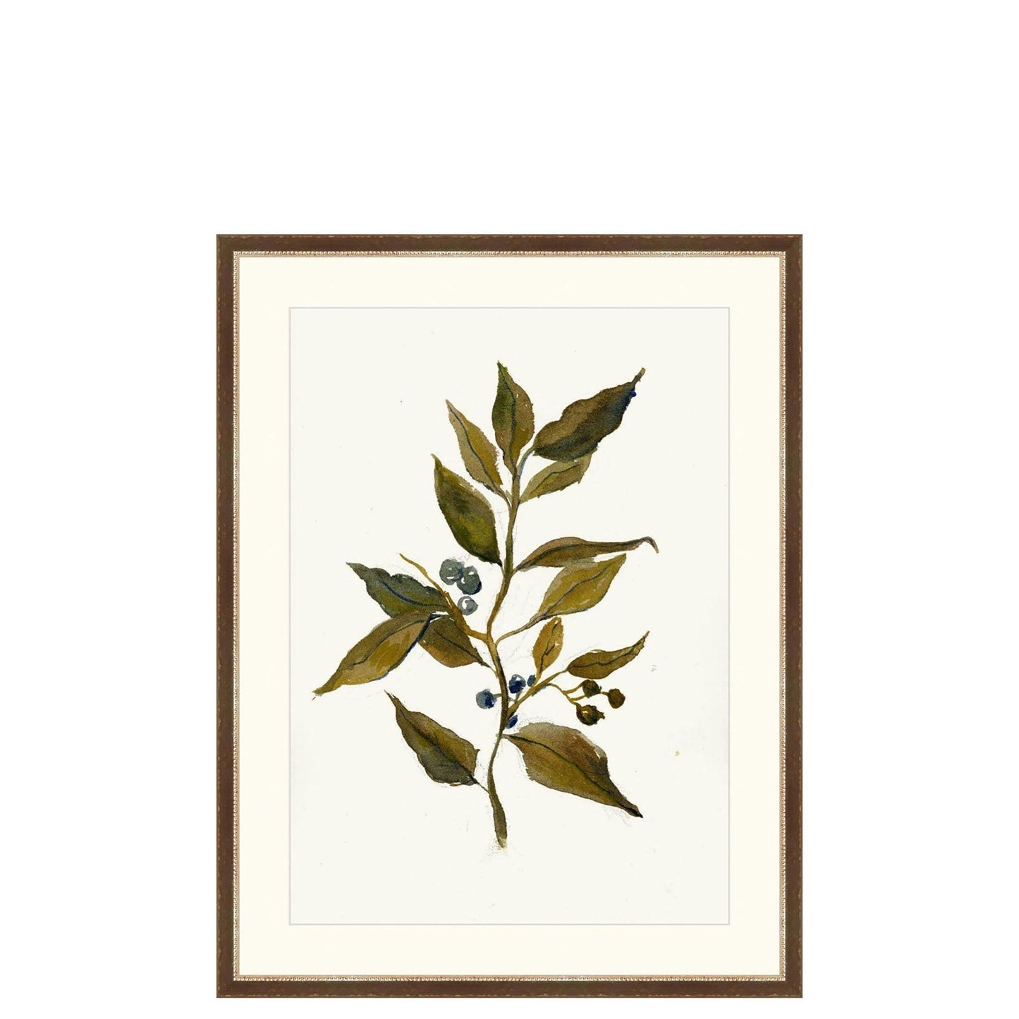 Disegno del ramo