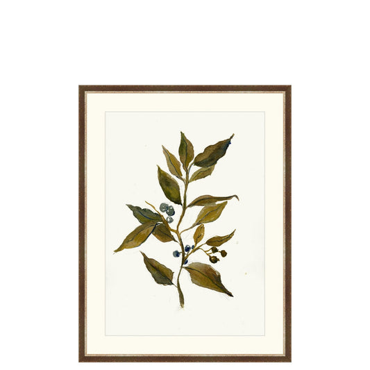 Disegno del ramo