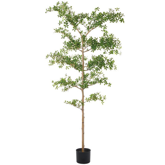 Albero ombroso da 8 piedi